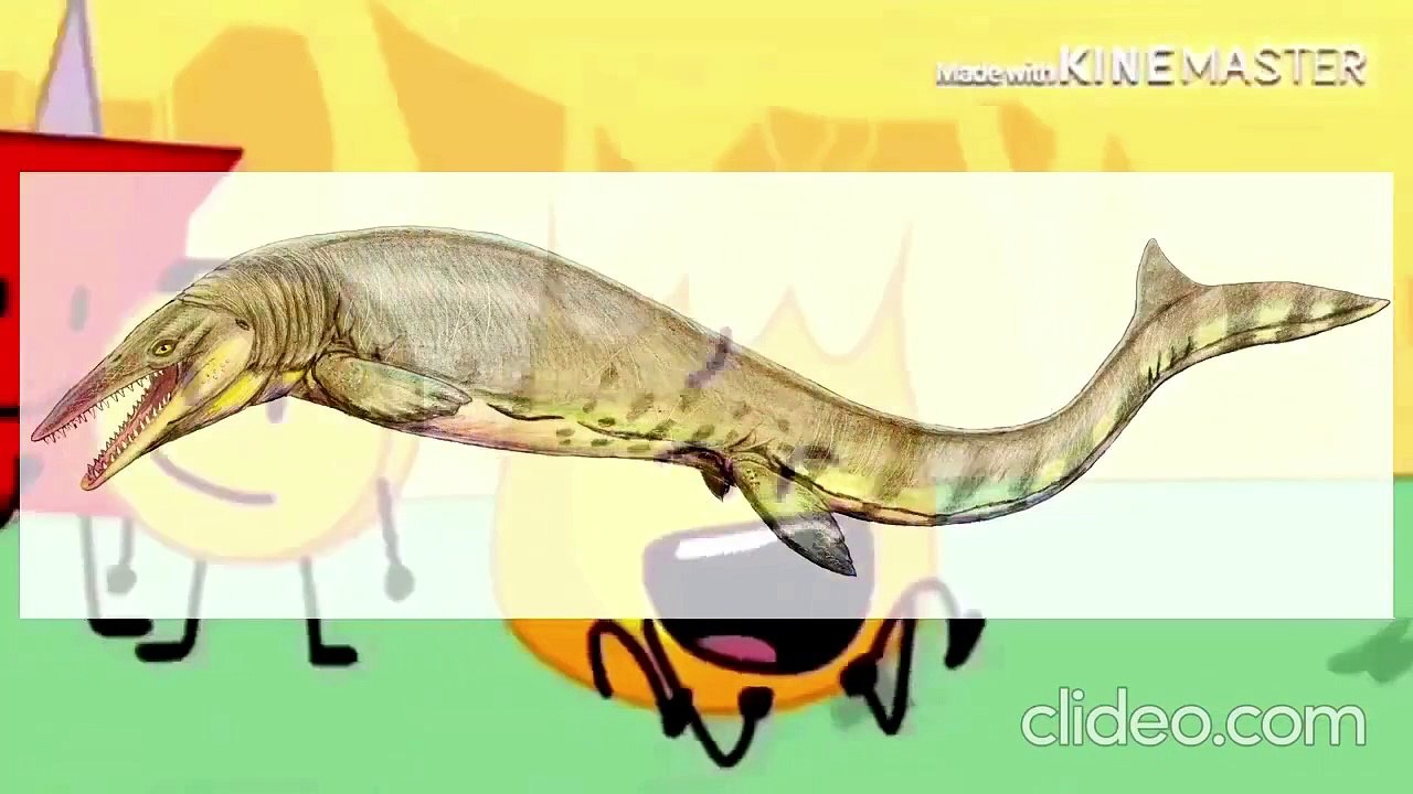 Bfb 8 band geeks bemb merely up to eas parsion