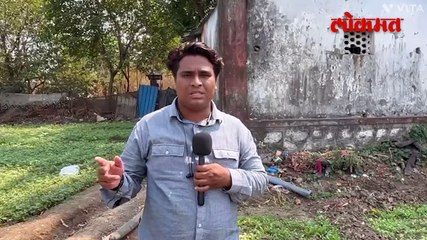 भिवंडीत नाल्याच्या पाण्यात केली जातेय पालेभाज्यांची  शेती  पाहा व्हिडिओ