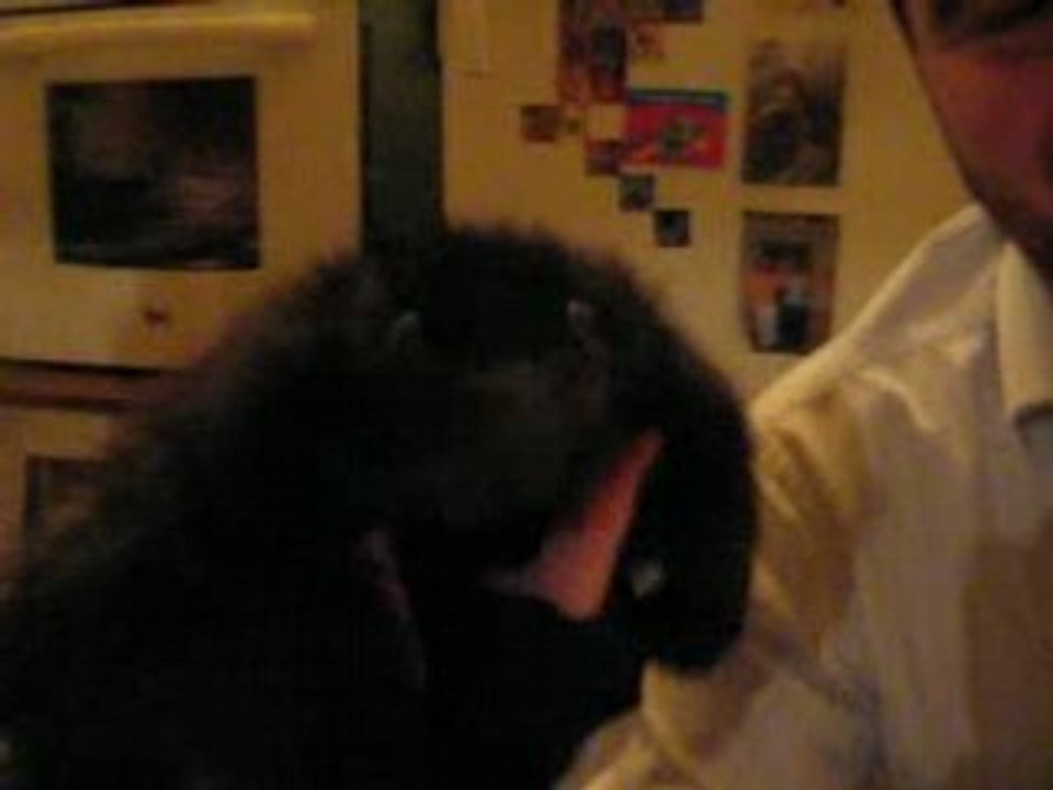 La voix de la fourrir