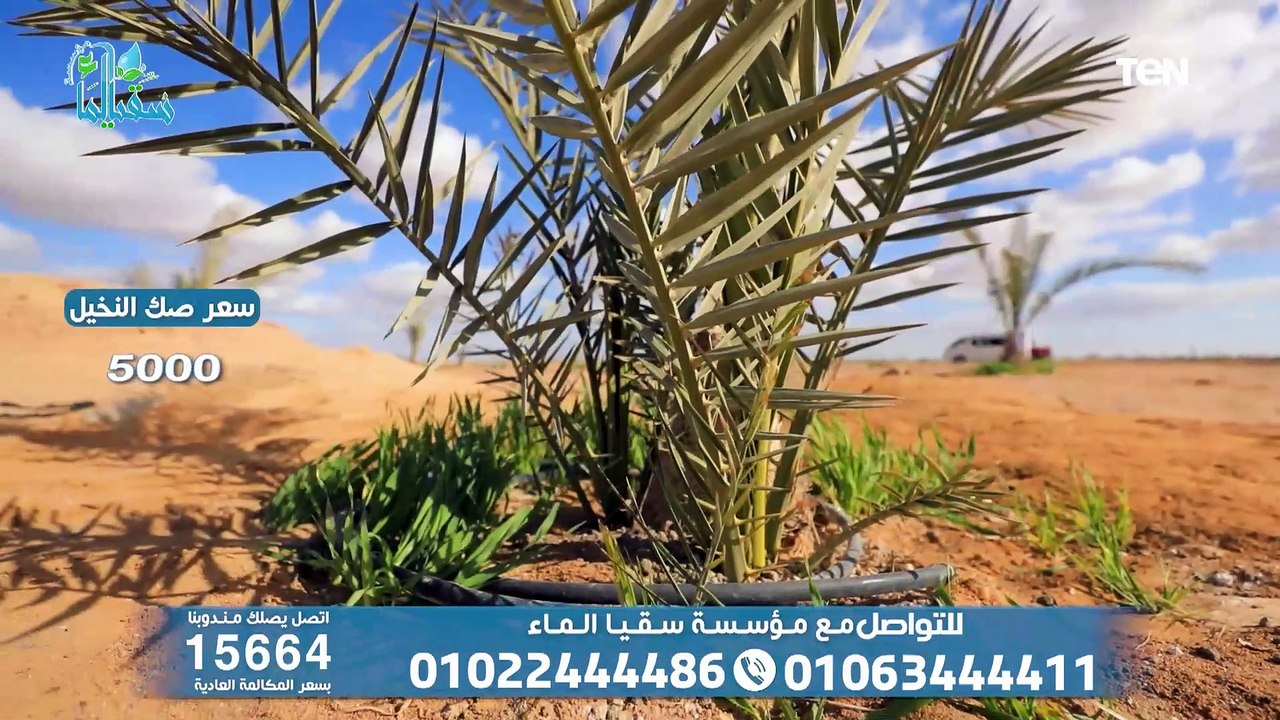 جهود مؤسسة سقيا الماء في أعمال الخير ومساعدة المحتاجين | الدنيا ومافيها