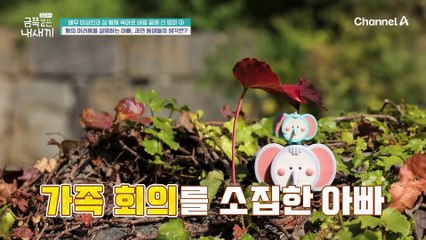 "대화가 끊어지면 묶어주면 돼?" 첫째의 어려움을 설명하는 아빠와 형제들의 반응...