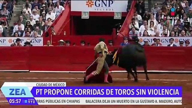 Diputada local del PT propone prohibir las corridas de toros con violencia en todo el país