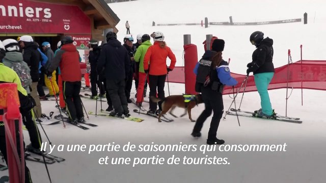 Dans les Alpes françaises, la drogue aussi monte en station