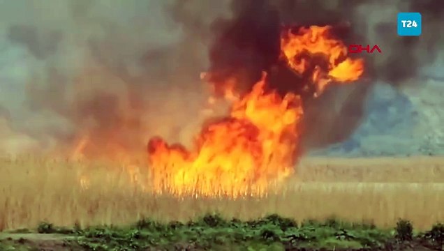 Gala Gölü Milli Parkı’nda sazlık yangını