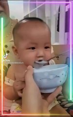 Funny, Entertainment, Enjoy