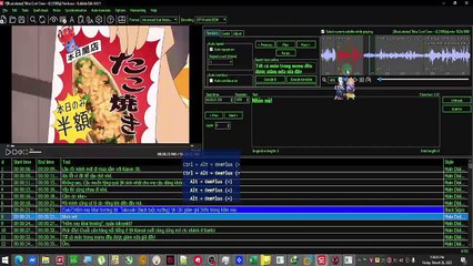 subtitle edit - one frame back & forward WITH PLAY , one frame back / forward  WITHOUT PLAY