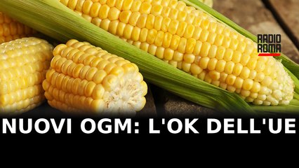 Nuovi OGM, l'ok del Consiglio UE alle nuove tecniche di manipolazione genetica