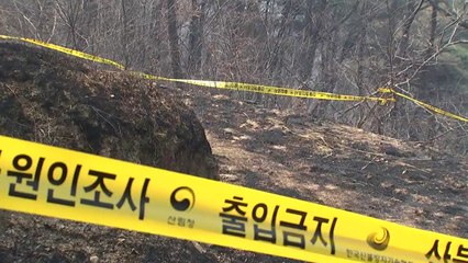 의성군수 "산불 최초 실화자 내일부터 조사" / YTN