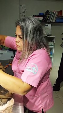 VÍDEO: Cachorro resgatado tem mais de dois quilos de pelos sujos retirados do corpo; veja antes e depois