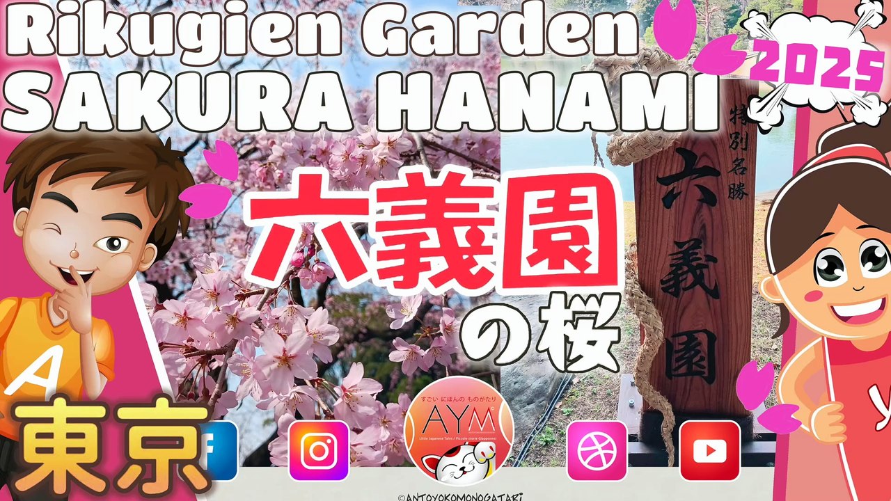 六義園の桜 🌸 Fiori di ciliegio Cherry blossoms Tokyo Rikugien Garden 花見 Hanami Rikugien no Sakura