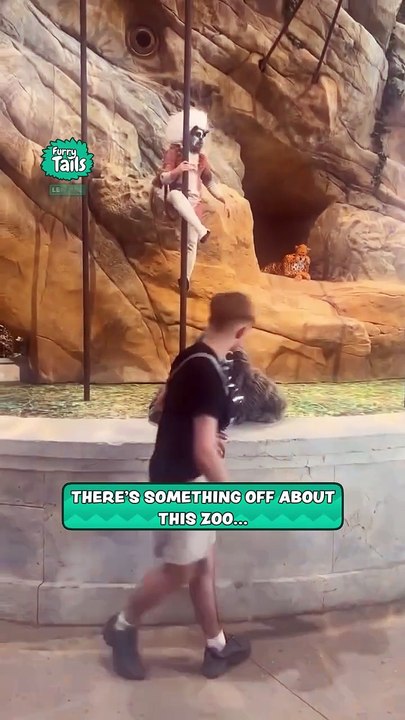 When you visit the wrong zoo