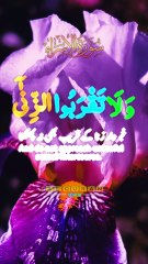 Surah Al-Israa Ayat 32 سورة الإسراء آیت