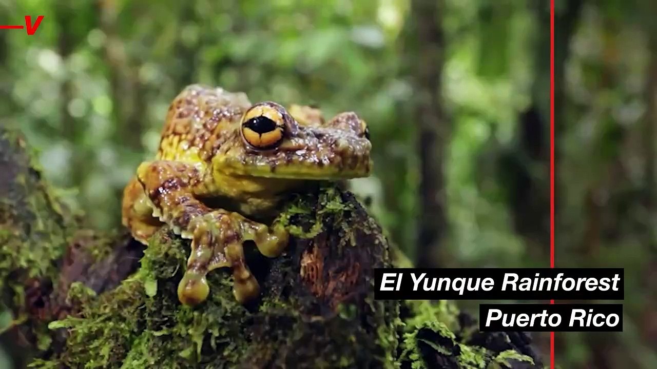 Tourist Traps That Are Actually Worth It