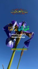 Surah Al-Ankaboot Ayat 5 سورة العنكبوت آیت