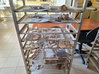 Des découvertes archéologiques à Montbéliard