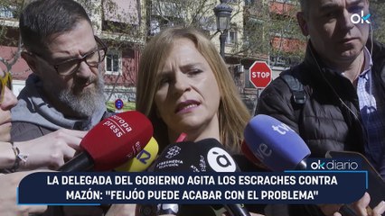 La delegada del Gobierno agita los escraches contra Mazón: "Feijóo puede acabar con el problema"