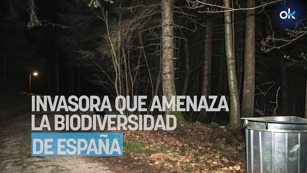Parece inofensivo, pero este mamífero es una especie invasora que amenaza la biodiversidad de España