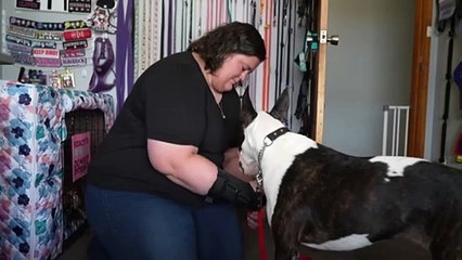 Claims Tasmanians with assistance animals still face discrimination