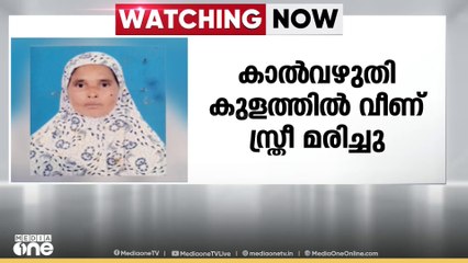 പാലക്കാട് വണ്ടിത്താവളത്ത് തെരുവുനായയെ കണ്ട് ഭയന്ന് കാൽവഴുതി വീണ് സ്ത്രീക്ക് ദാരുണാന്ത്യം