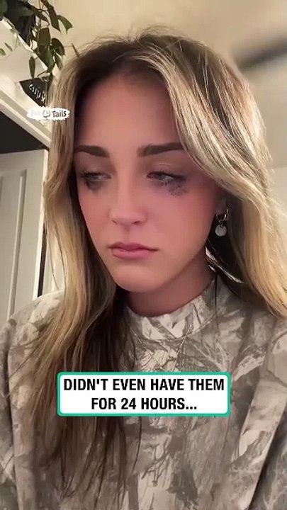 Dog chews brand new ugg boots