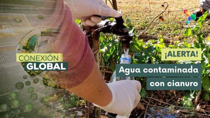 Argentinos denuncian altos niveles de agrotóxicos en el agua