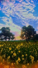 lv_7307703123798166791_20250322084142