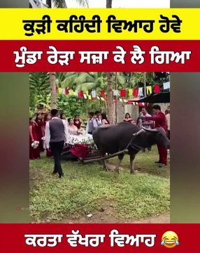 Rip😭😭😭#followersreelsfypシ゚viralシfypシ゚viralシalシ #videoreelsシ #viralvideoシ #viralvideochallenge #likecommentshare #tranding #followforfollowback #like #fypchallenge #followme #trandingreels #viralvideo #follower