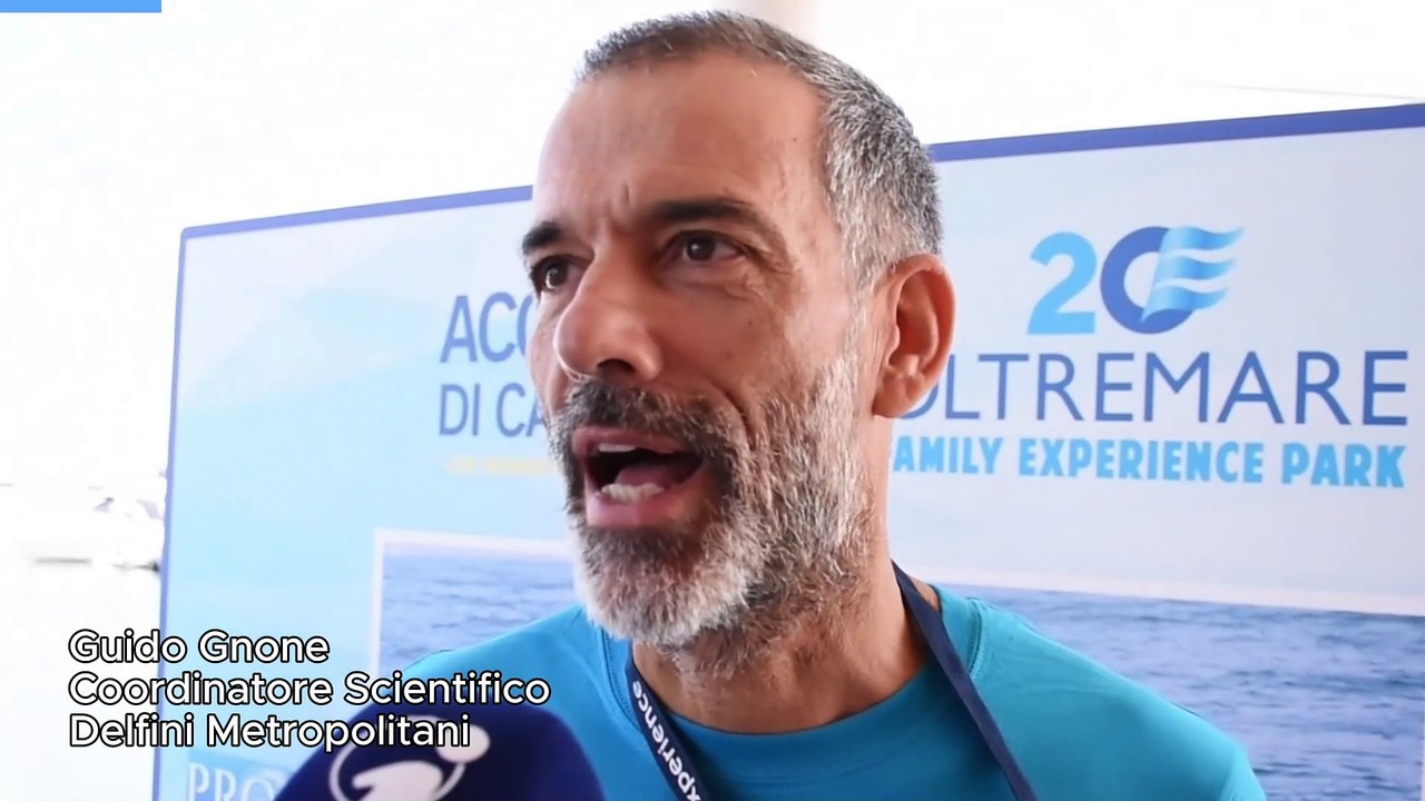 Delfini nell'Adriatico: il video dei ricercatori