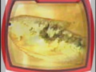 Ibretlik resimler(allah'in varligina inamayan iyi izlesin!)