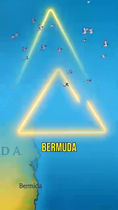 The Mysterious Bermuda Triangle