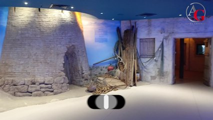 Sharjah Aquarium Vlog | Final Tour of Marine Life in UAE