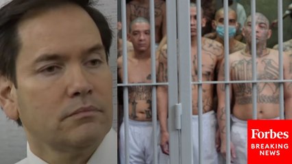 'They Were All Deportable': Rubio Defends Sending Suspected TdA Members To El Salvador Prison