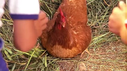 Pehlivan-Türk-Filmi-FULL--Restorasyonl_356