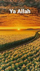 Islamic Video, #islamic #islam #islamicstatus #islamicvideo #youtubeshorts #natural #nature #youtube