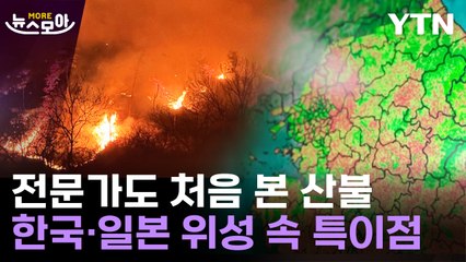 [뉴스모아] 해외도 놀란 '초대형 산불'…"더 자주, 더 강해질 것" 전문가의 경고 / YTN