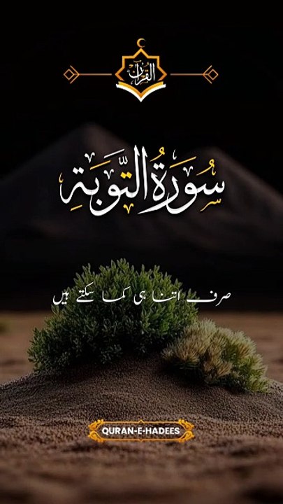 Surah e toba ✨