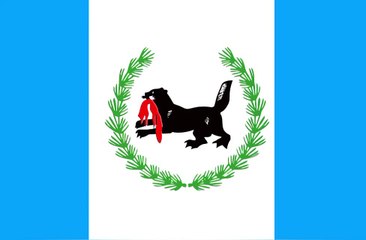Flag of Irkutsk Oblast. Bendera Oblast Irkutsk. Irkutsk Oblast Flag. Flag of Irkutsk. Bendera Irkutsk. Irkutsk Flag.