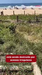 Cercas quebradas e sem manutenção servem pra “caminho” sobre a restinga na Brava