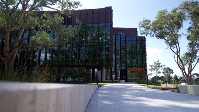 Frozen penguin among millions of specimens moved to new home at CSIRO’s National Collections Building