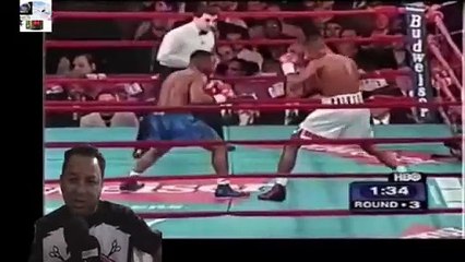 Una pelea dura   Felix Tito Trinidad Vs Pernell Whitaker Highlights
