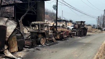 경북 안동에서 산불 재발화...고속도로 일부 통제 / YTN