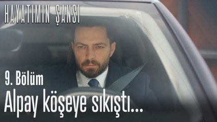 Alpay köşeye sıkıştı...-Hayatımın Şansı