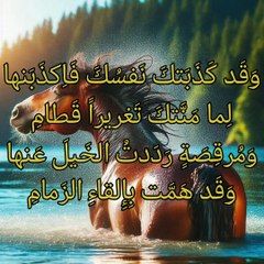 نأتك رقاش إلا عن لمام ،  عنترة بن شداد العبسي