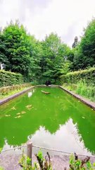 Dieu vous enverra quelqu'un qui vous méritera vraiment #success #proverbe #conseil #motivationalvideo #sagesse