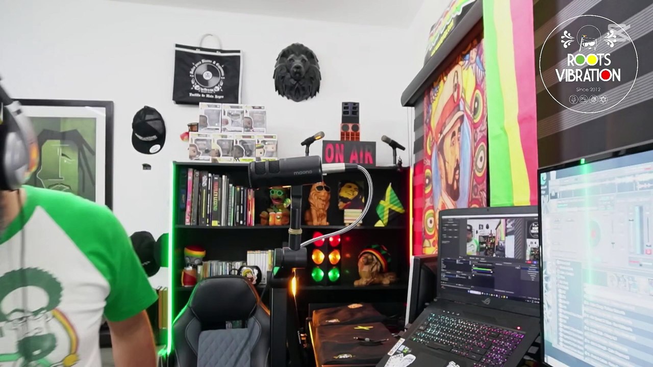 Programa 11.25 Roots Vibration Parte 1