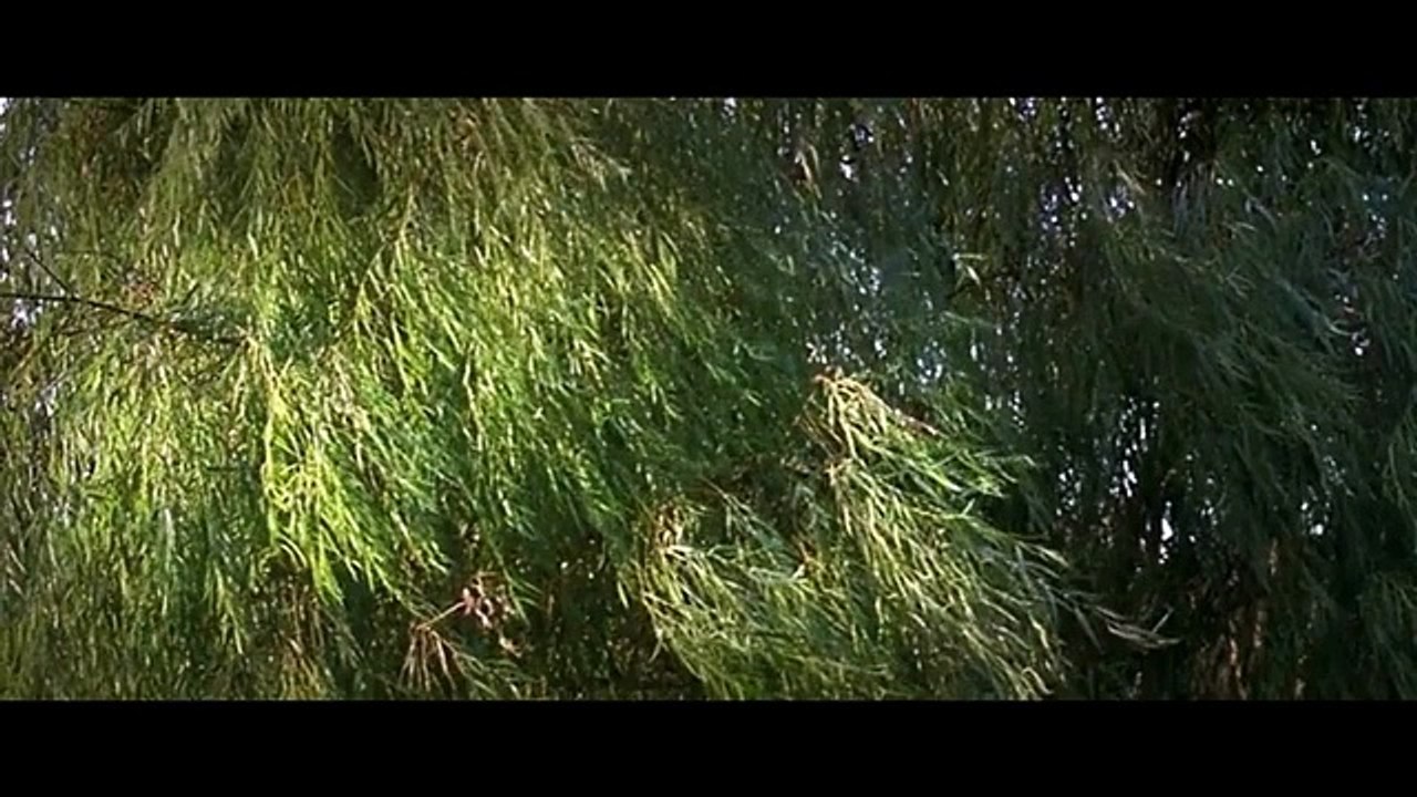 A Bittersweet Life Explained in Hindi _ Thriller Korean Movie Explained in Hindi