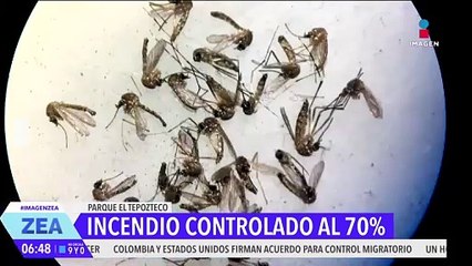 Suman 2 mil 432 casos de dengue en México en lo que va del año