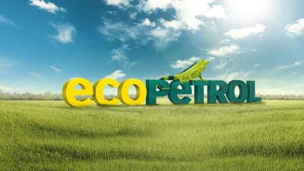 "No podemos matar la gallina de los huevos de oro": Ricardo Roa sobre transición energética de Ecopetrol