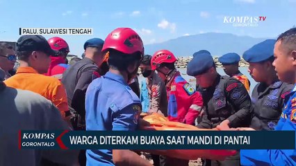 Seorang Warga Diterkam Buaya Saat Mandi di Pantai Teluk Palu