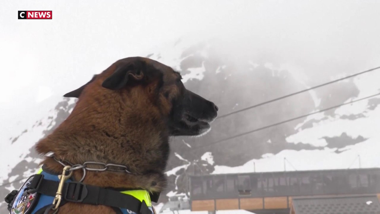 Lutte contre la drogue dans les stations de ski françaises